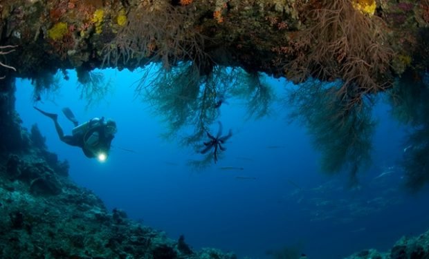 House reef diving photoLarge(1)