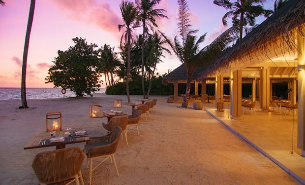 Img taste restaurant
